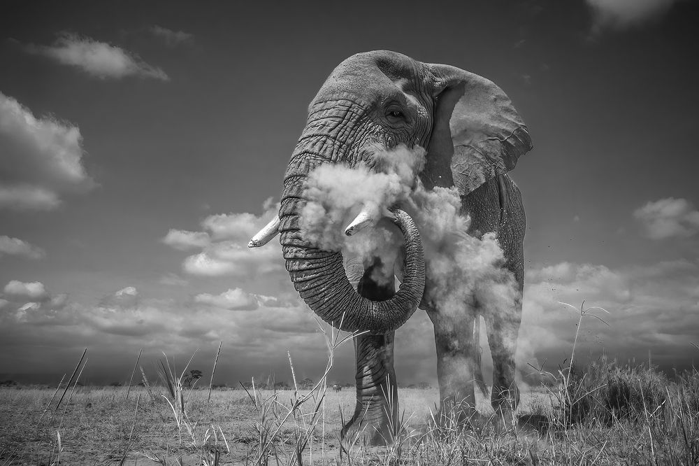 Photograph by Ali Khataw