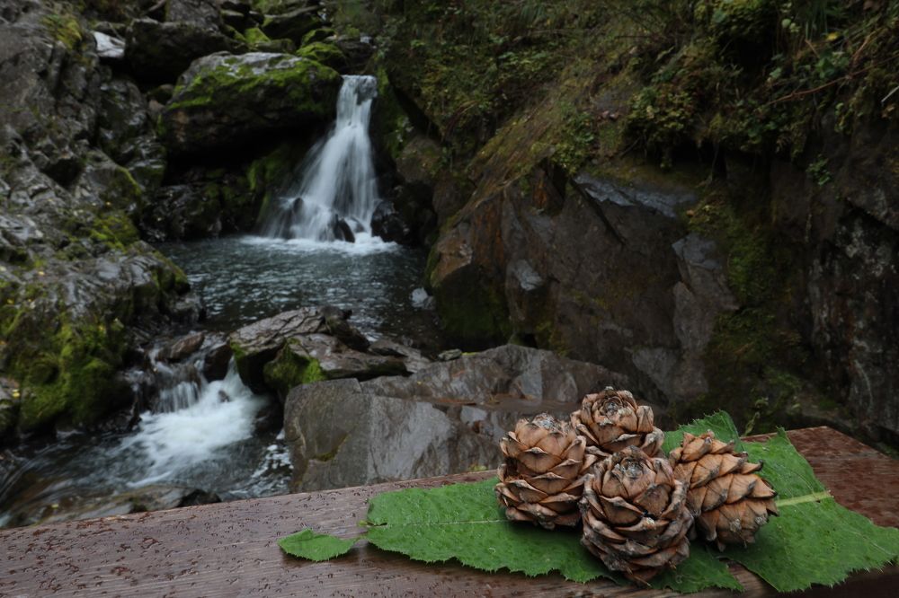 Photograph by Dmitriy Marchenko