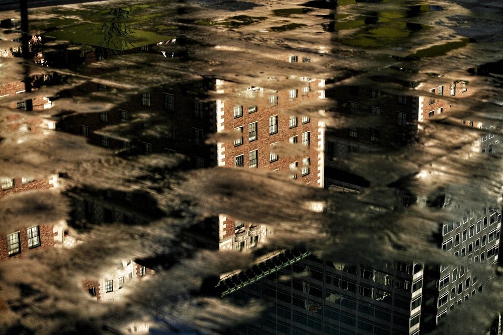 Photograph by Stephanie E’amato