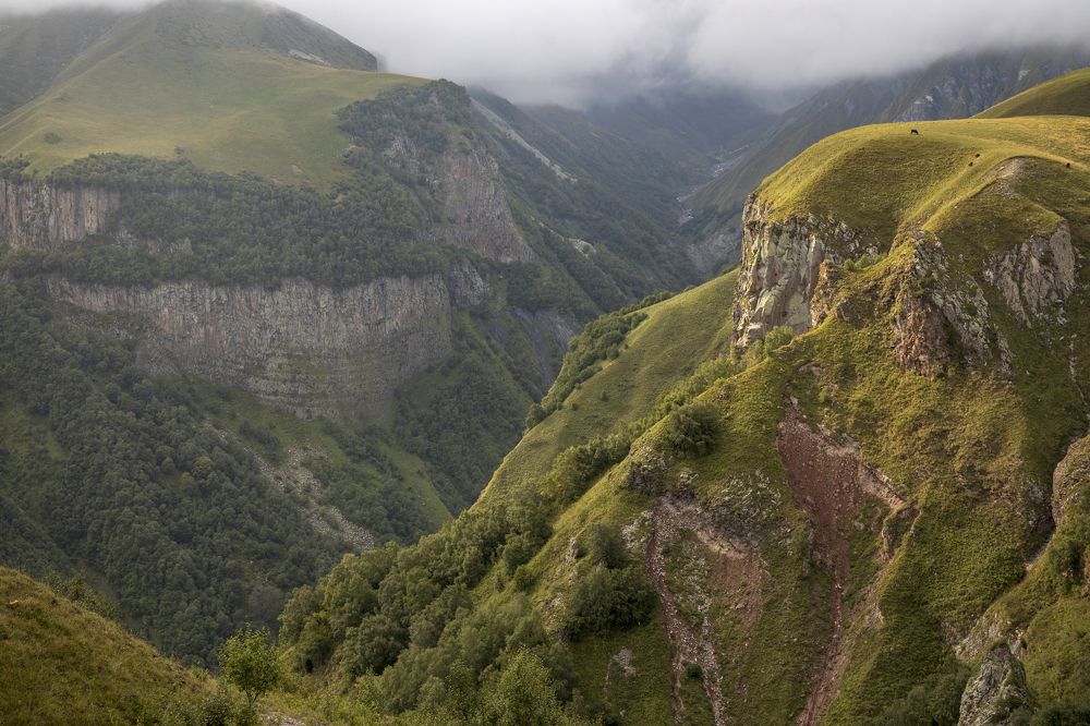 Photograph by stanislav anastasiev