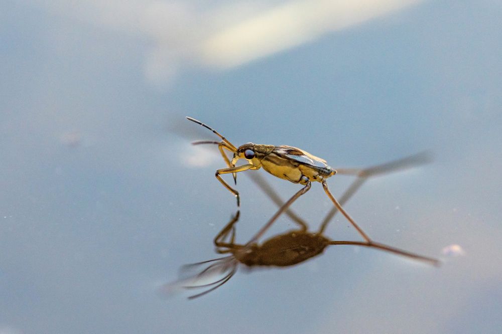 Photograph by Екатерина Просвирнина