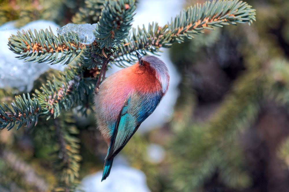 Photograph by Liu YuDong