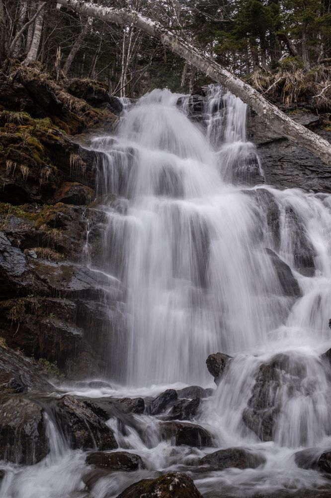 Фотография автора Дмитрий Эбингер