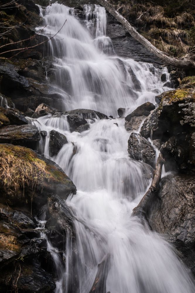 Фотография автора Дмитрий Эбингер