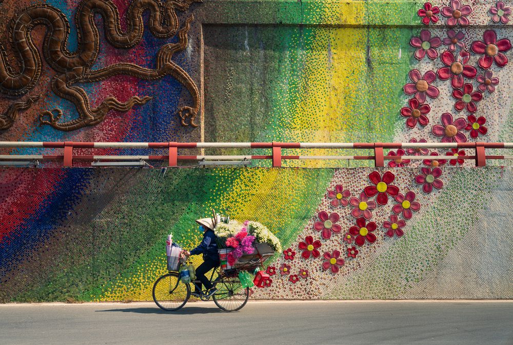 Flower Bike