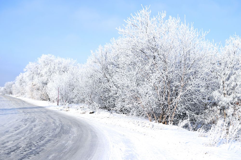 Photograph by Светлана Вербицкая