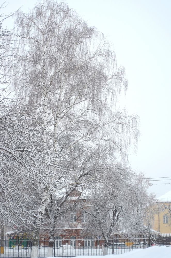 Photograph by Кира Орлова