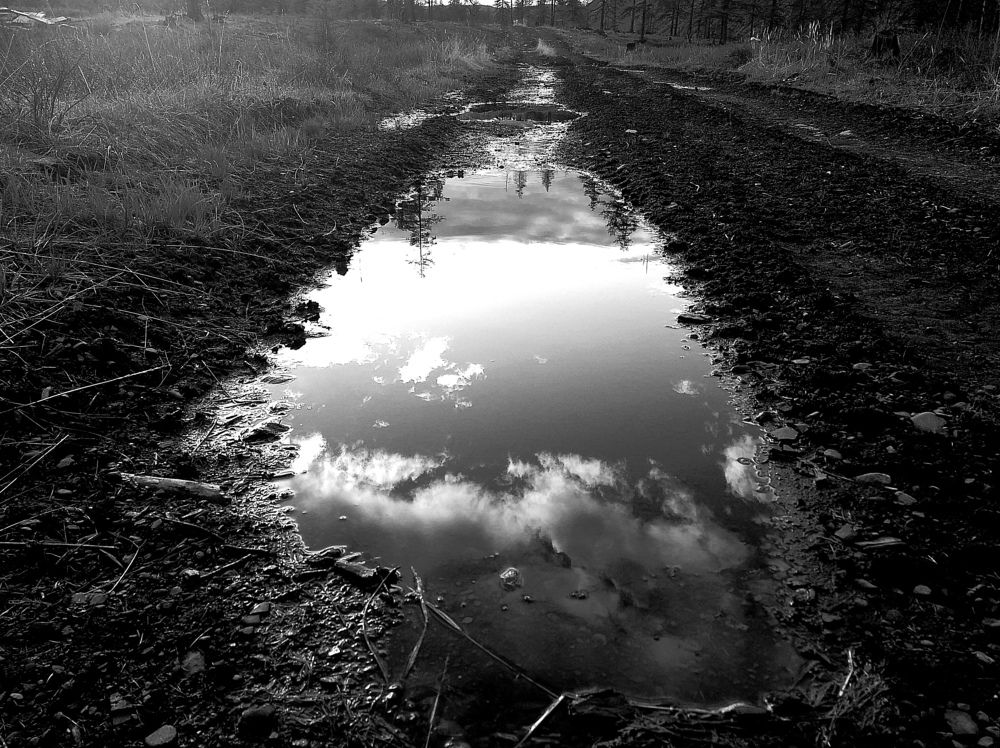 Северная суровость