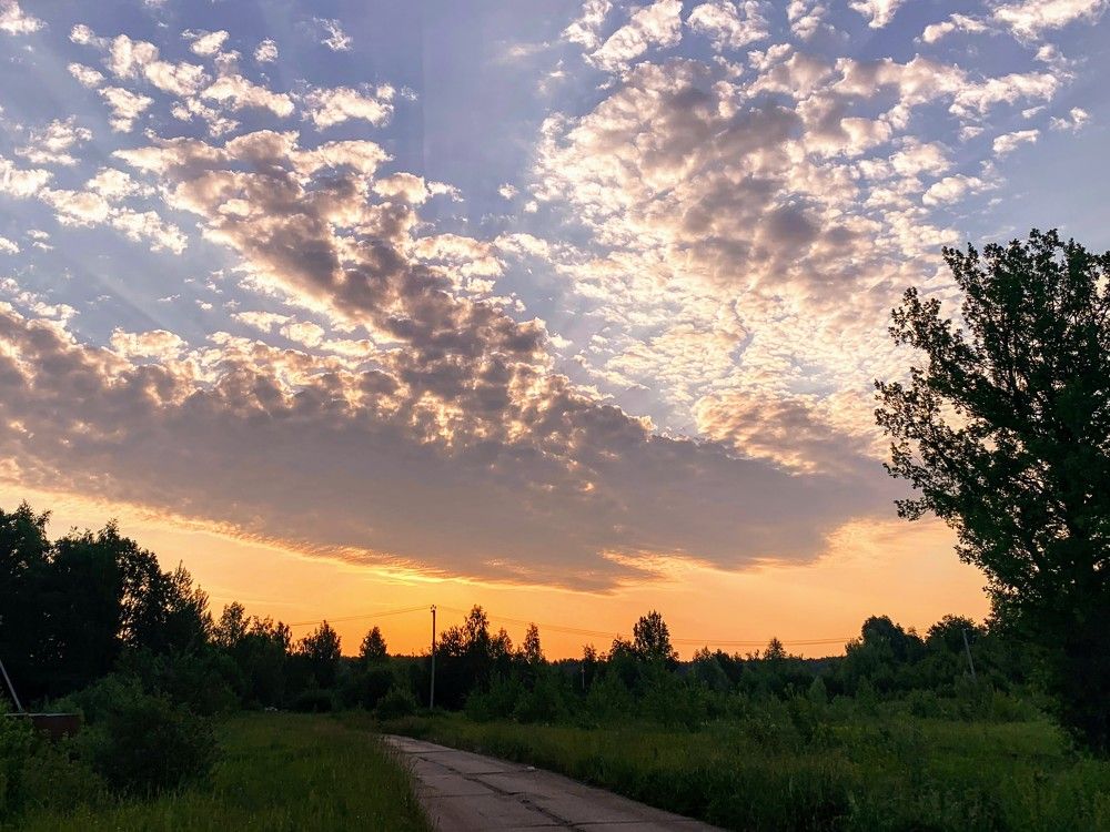 Photograph by Elena Lukashina