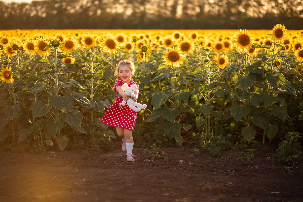 Photograph by Елена Клементенок