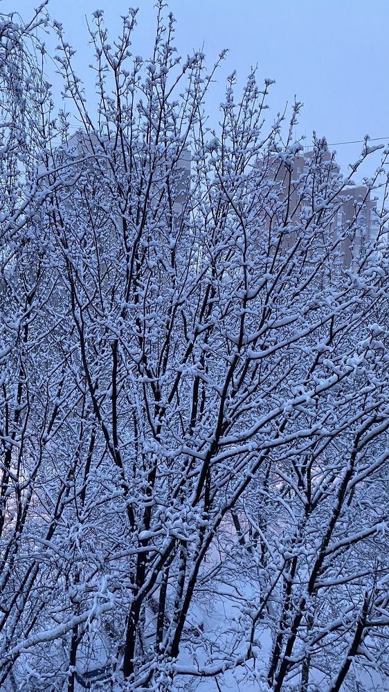 Winter landscape near my house