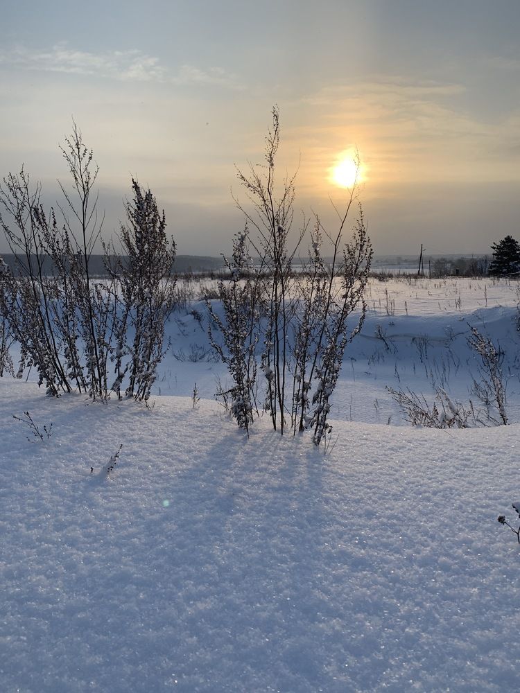 Photograph by Светлана Пономаренко