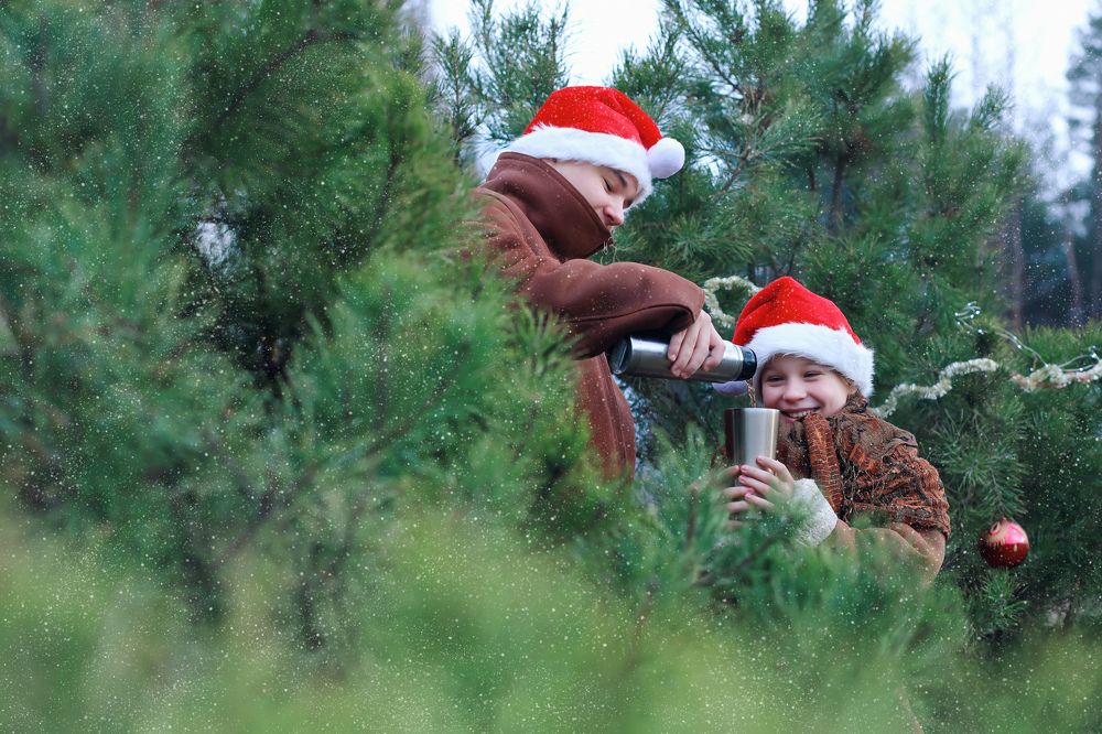 Photograph by Людмила Колесниченко