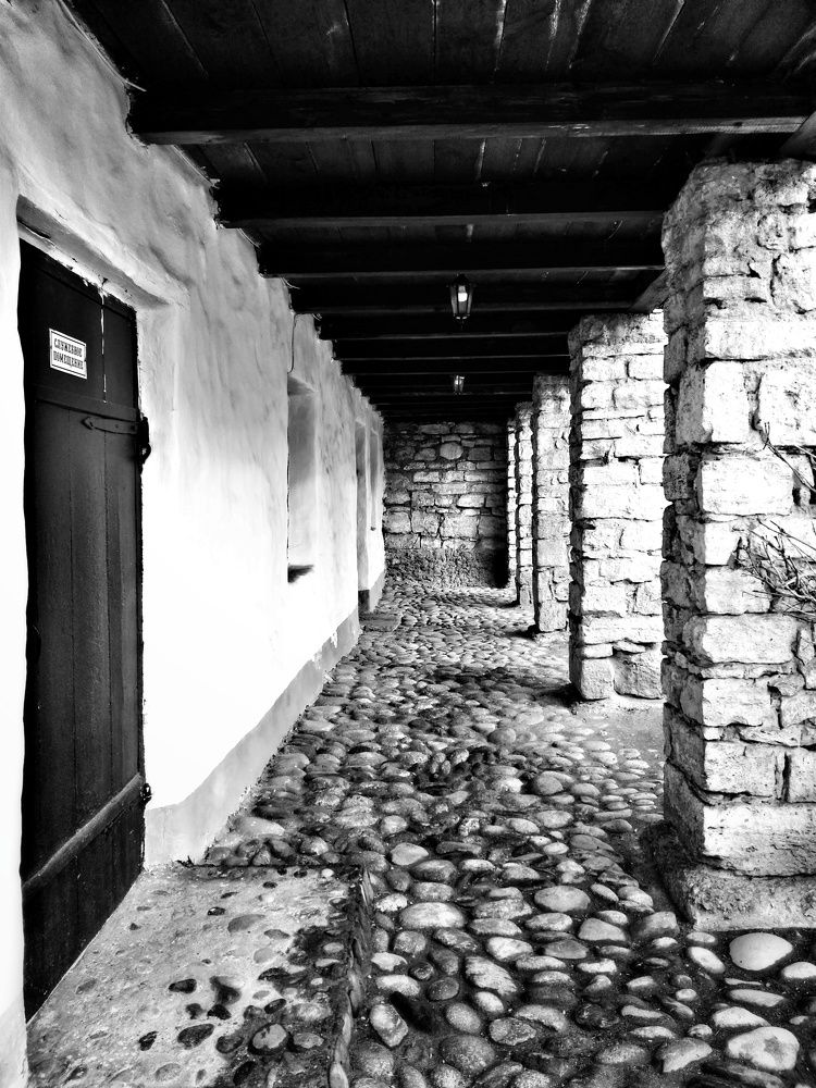 Photograph by Elena Lopatina