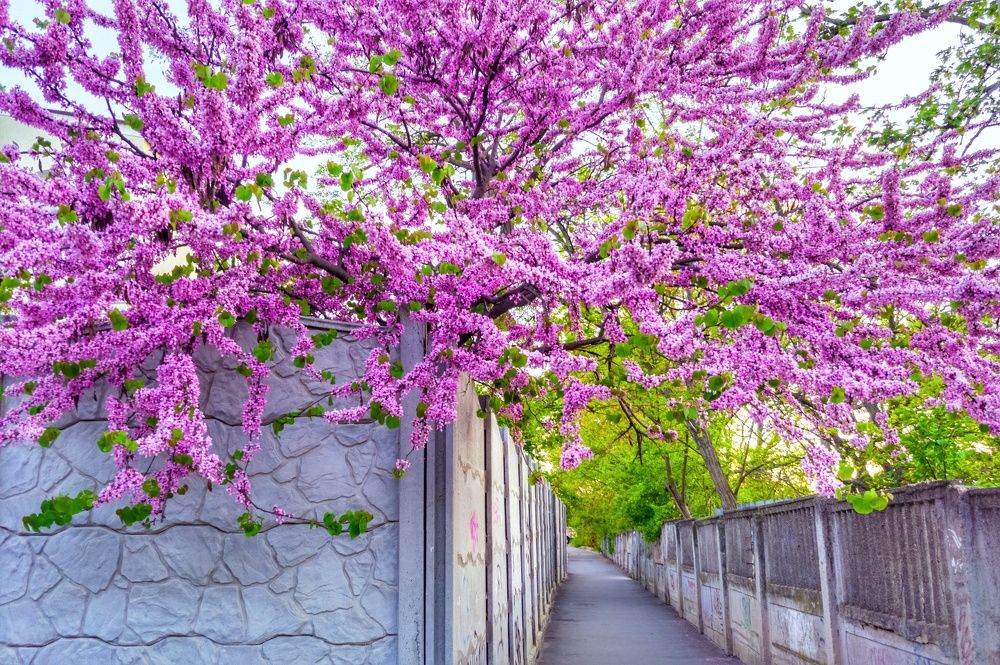 Photograph by Константин Дядюн