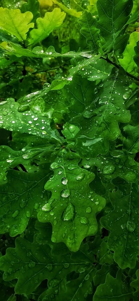 Photograph by Рымаров Александр