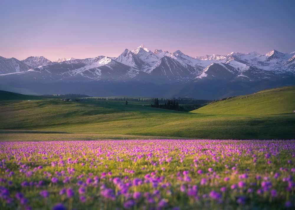 Фотография автора lee Jun