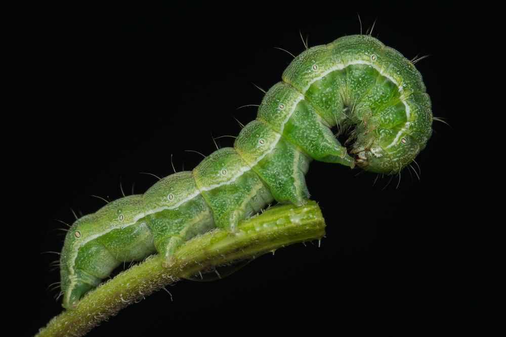 Photograph by Денис Ветренко