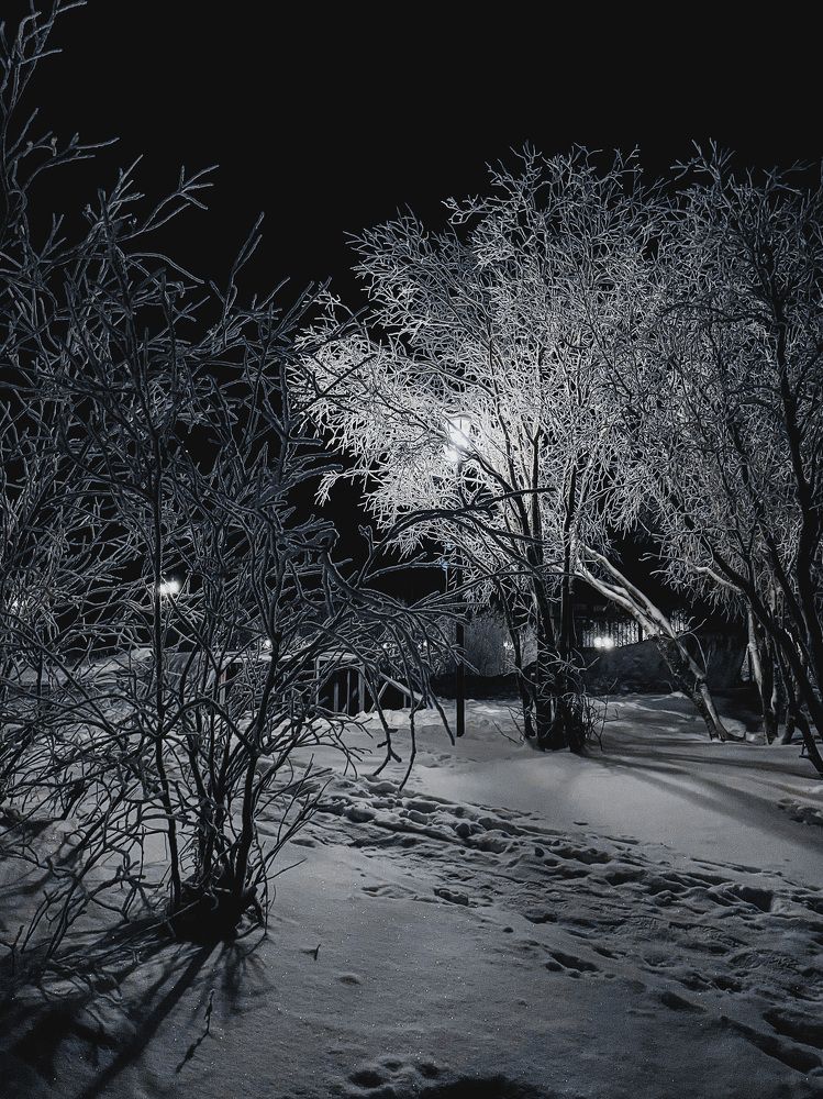 Photograph by Сергей Листопад