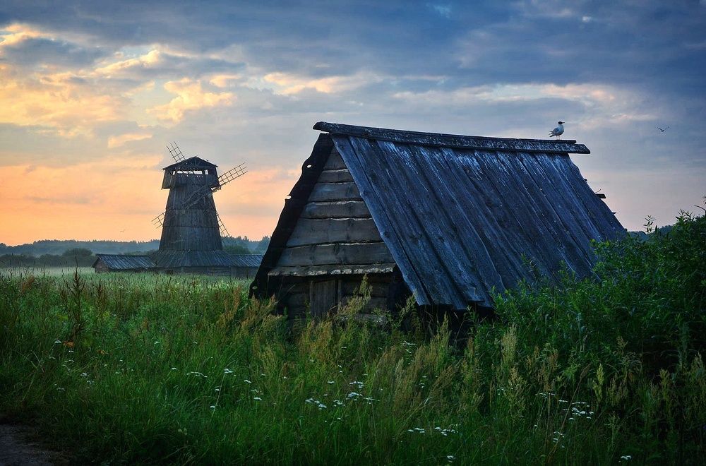 Photograph by Юлия Абрамова