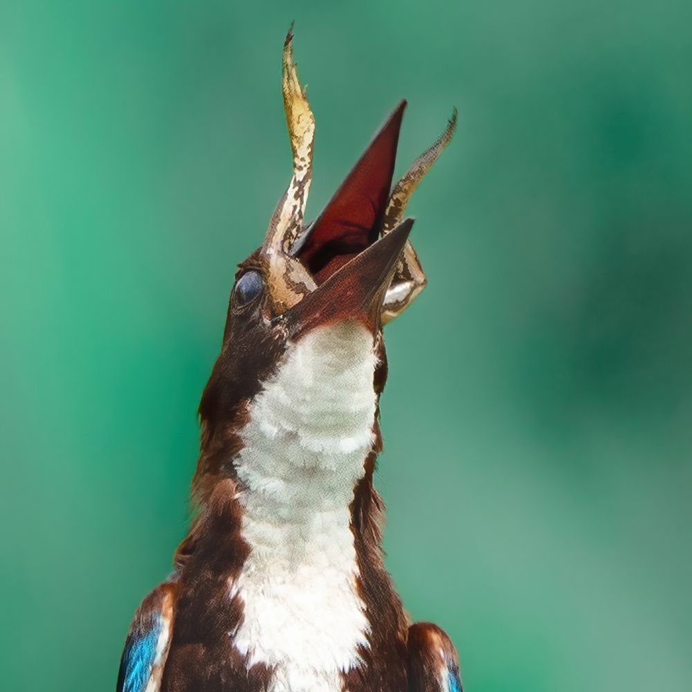 Photograph by Yuganthan Nallusamy