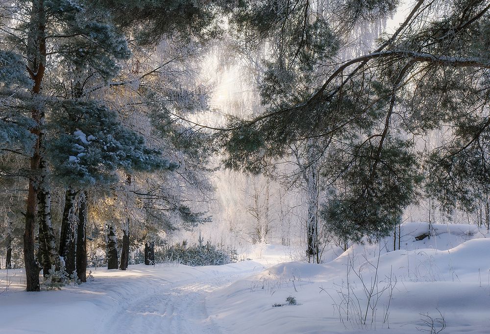 Photograph by Елена Потемина