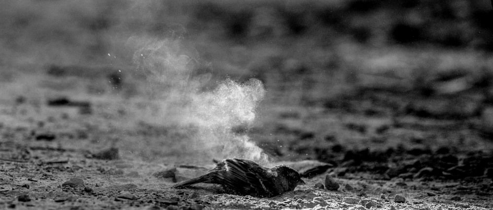 Photograph by Yuganthan Nallusamy