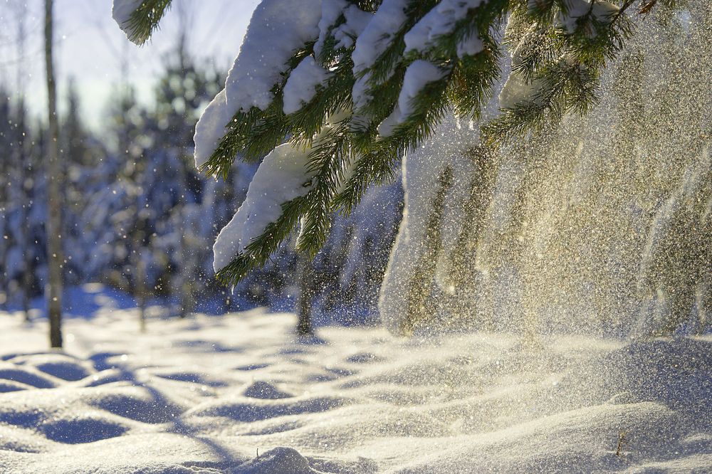 Photograph by Вероника Кочадыкова