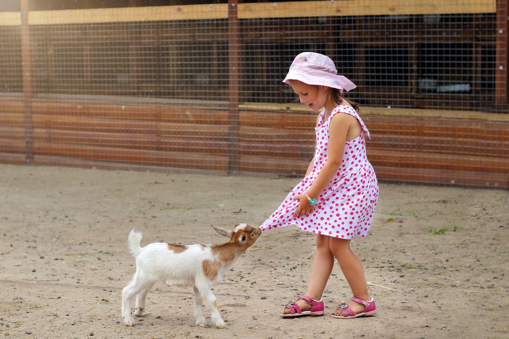 Photograph by Алина