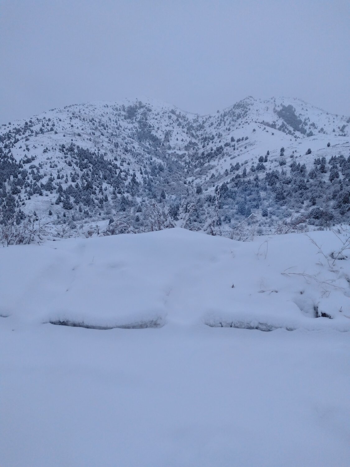 Photo #7035619