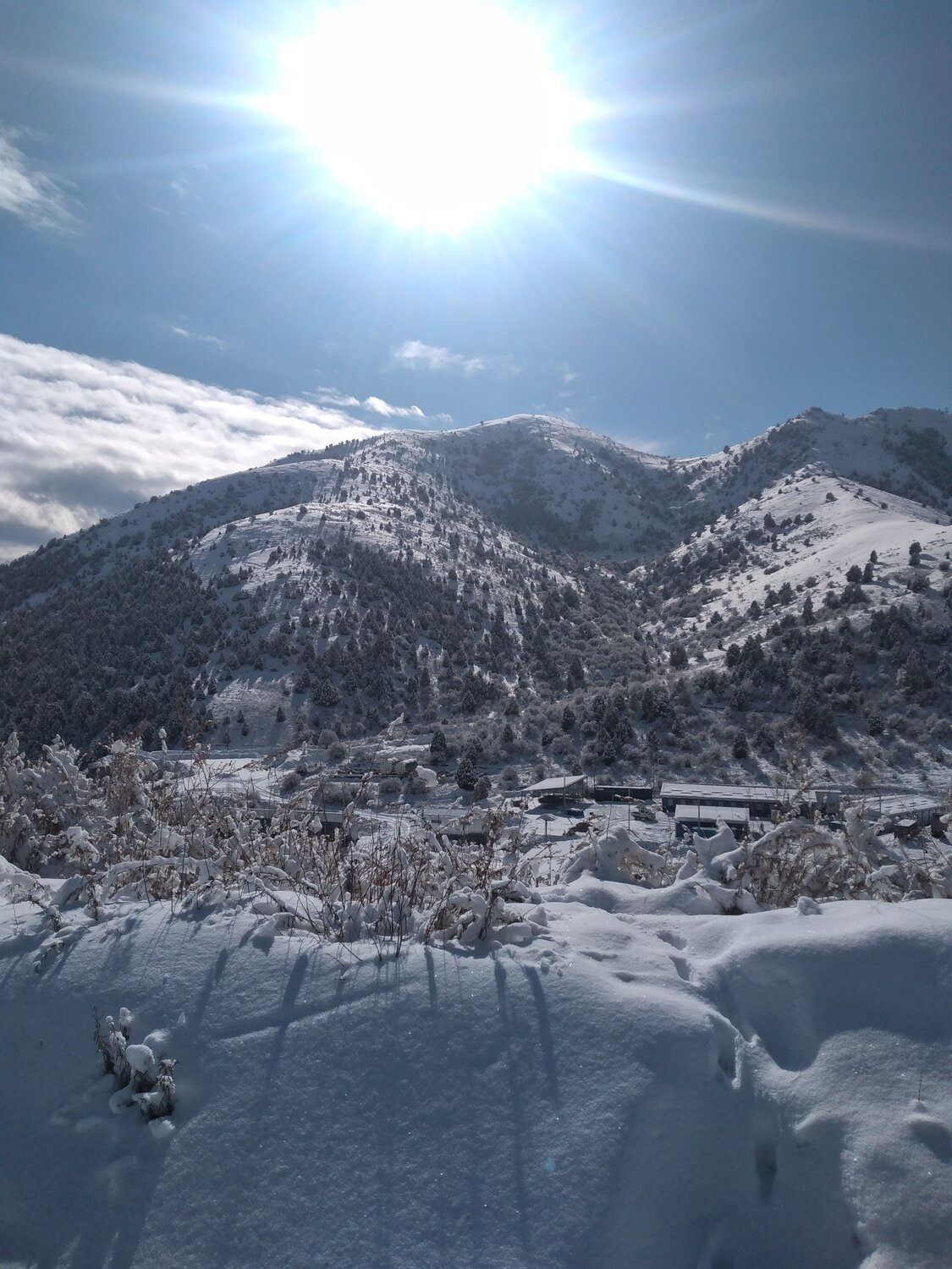 Photo #7035620