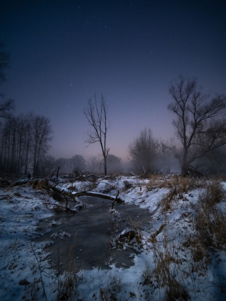 Photograph by Mariusz Fronia