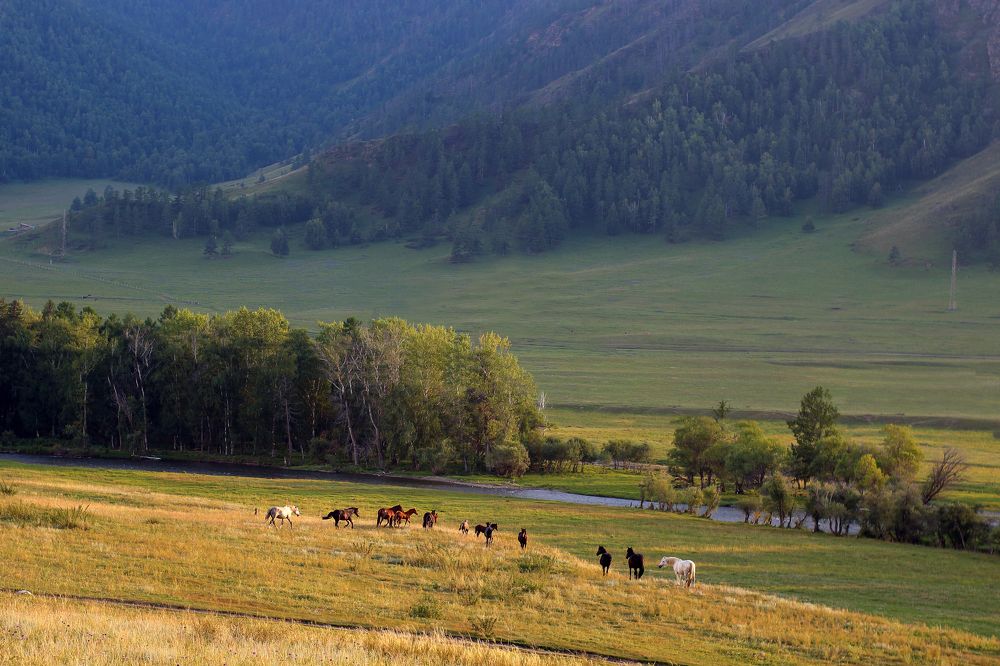 Photograph by Алина