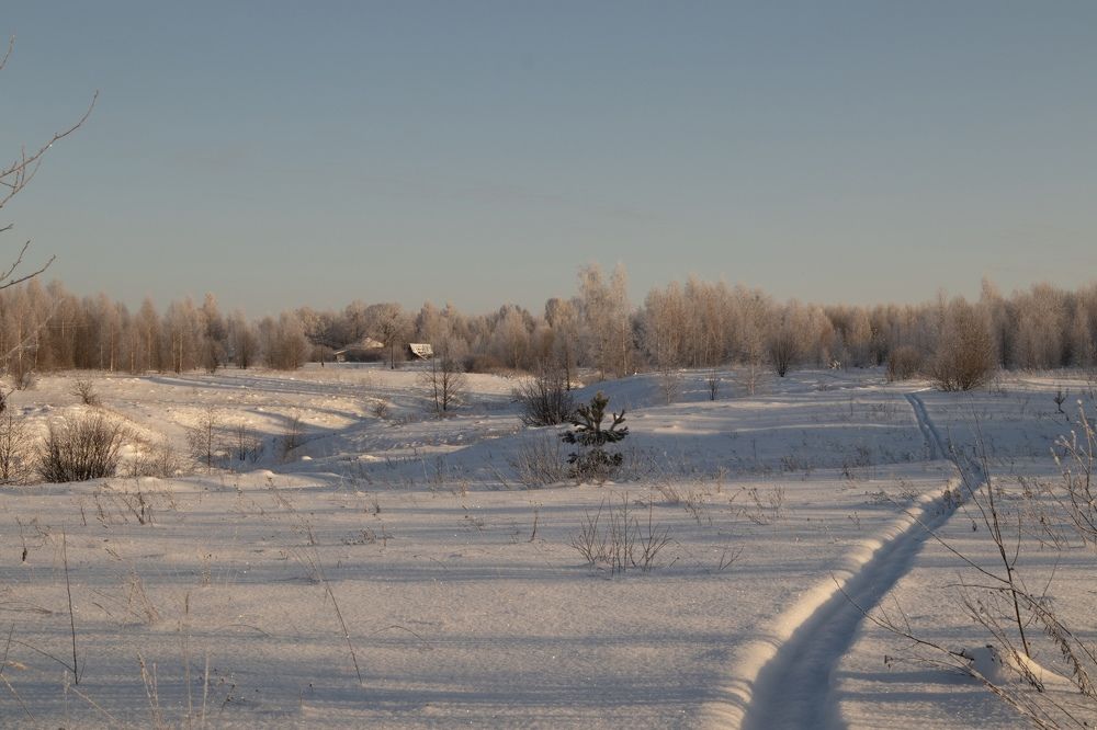 Photograph by Екатерина