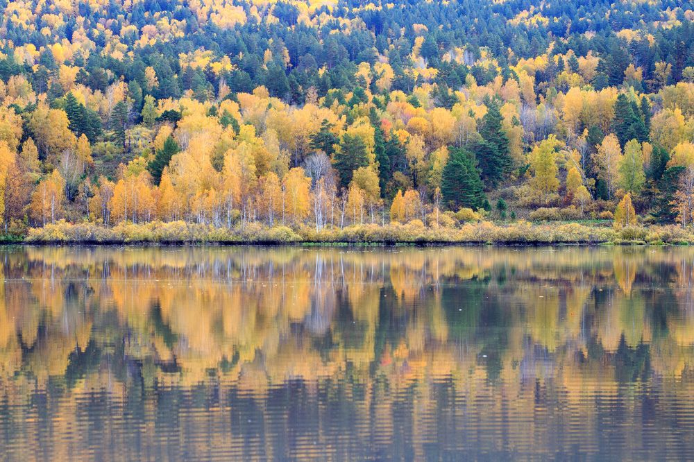 Photograph by Алина