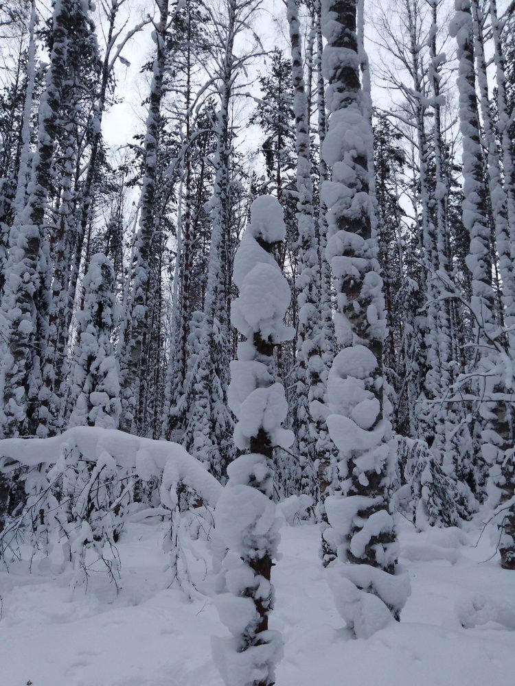 Photograph by Елена Малкова