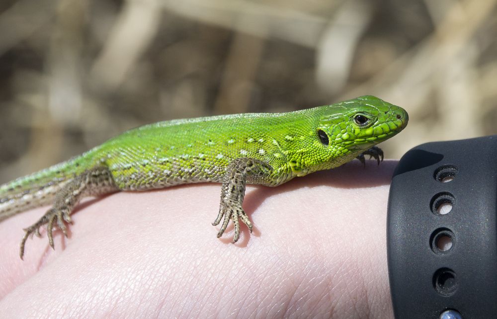 Photograph by Марина Магадиева