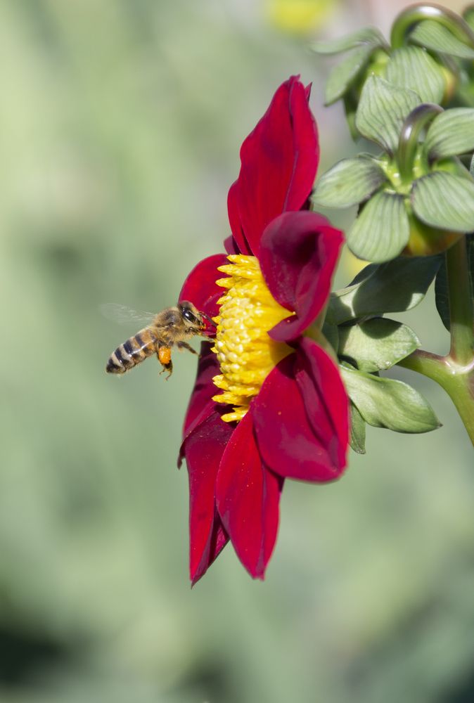 Photograph by Марина Магадиева