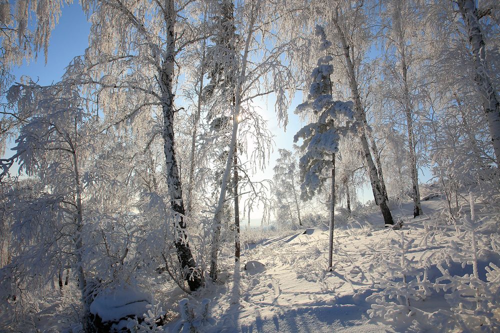 Photograph by Евгений Чуфаров