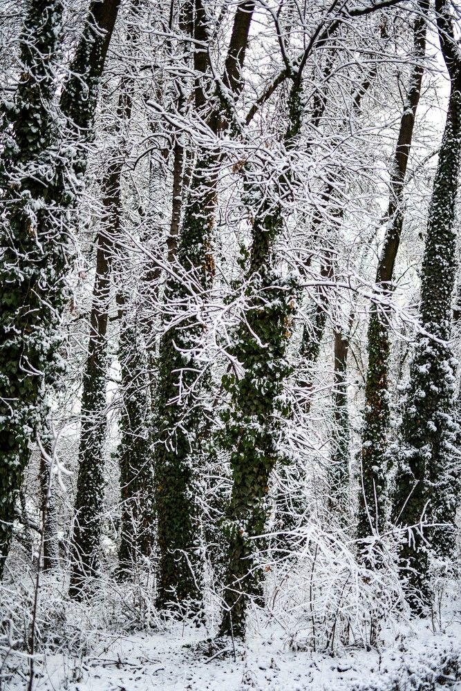 Photograph by Abdulrahman Sawalha