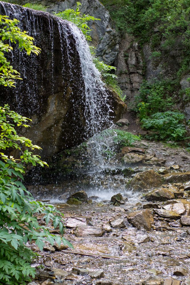 Photograph by Алина