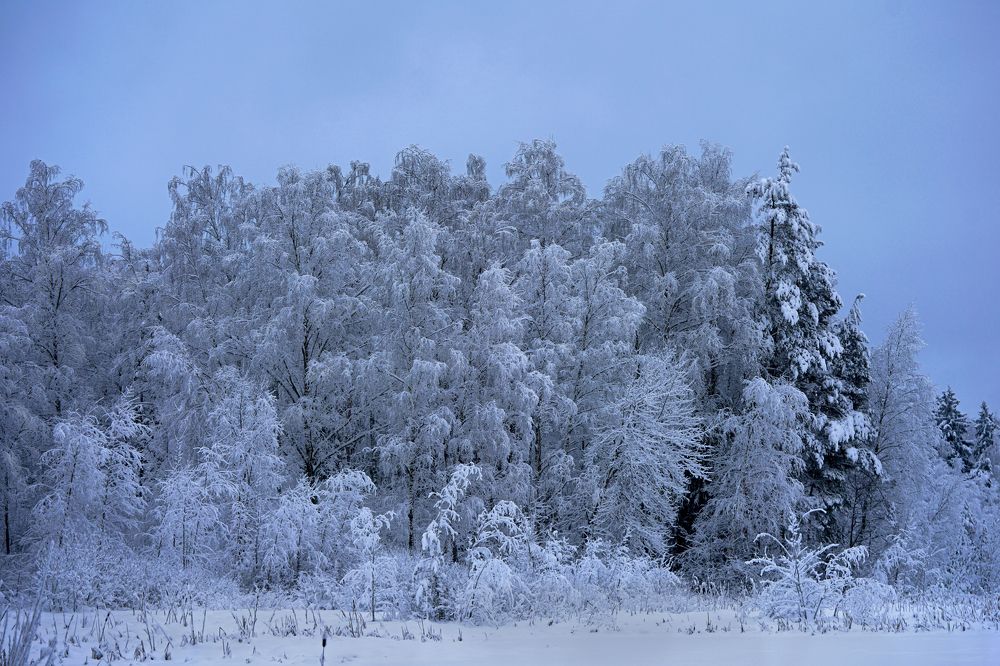 Photograph by Вероника Кочадыкова