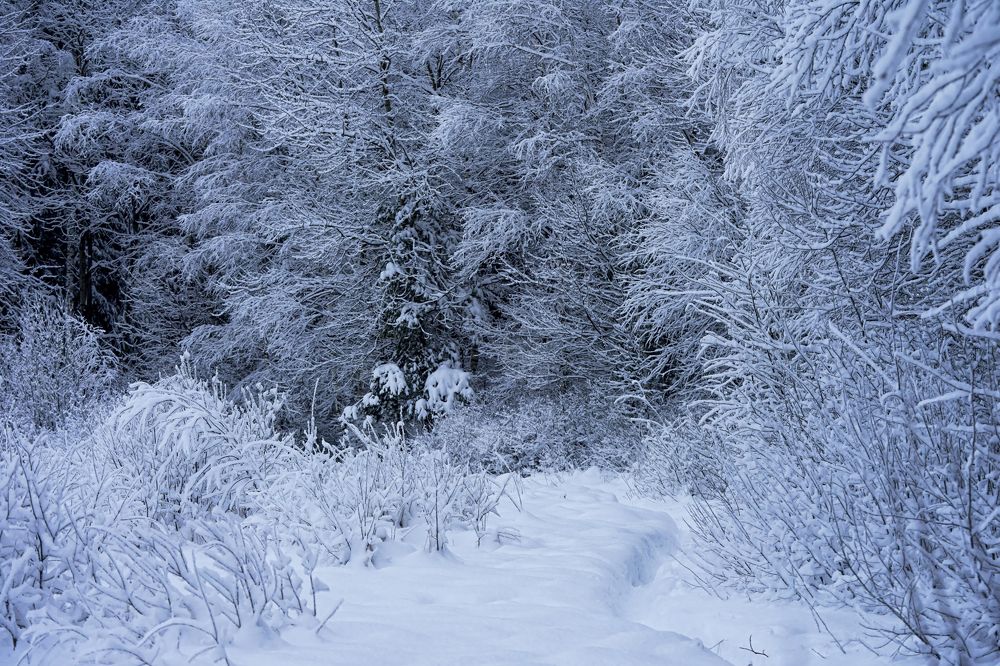 Photograph by Вероника Кочадыкова