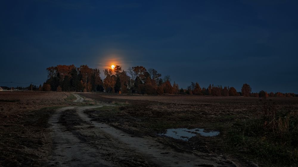 Photograph by Александр Никитинский