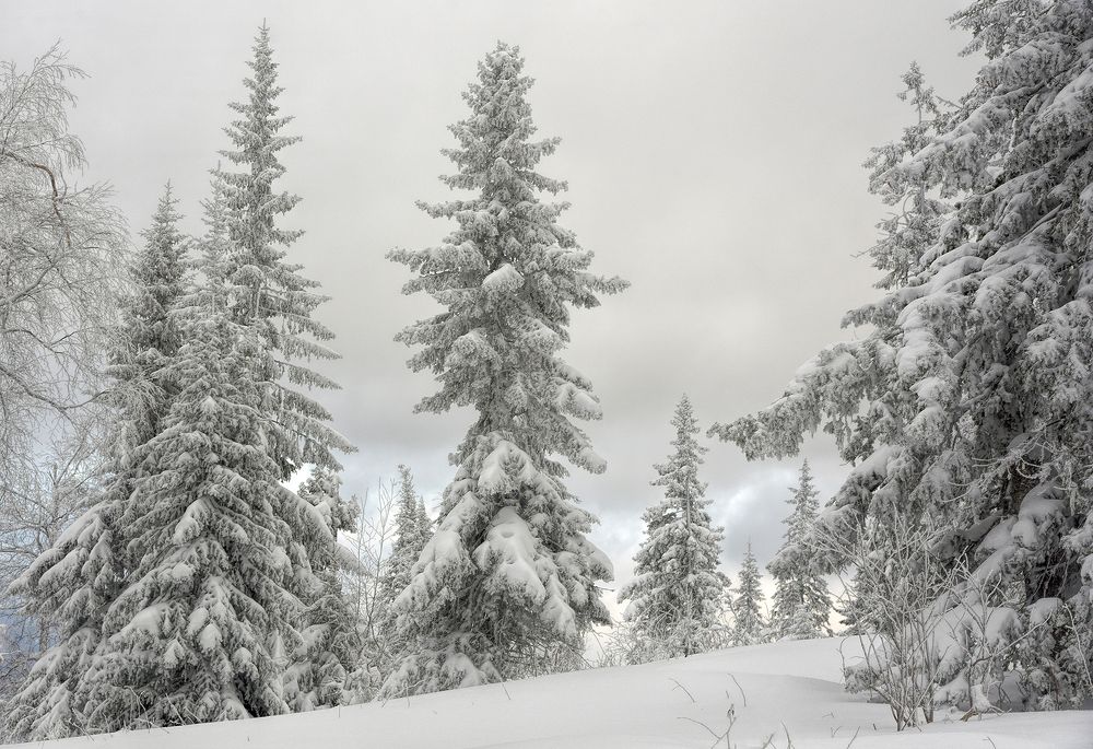 Photograph by Сергей Шварцман