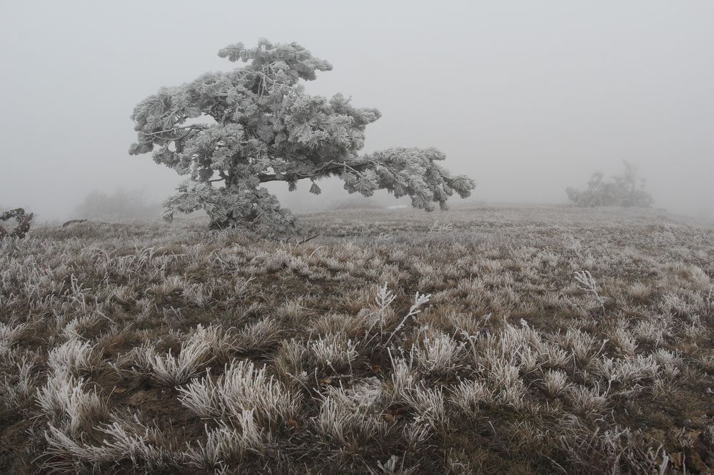 Photograph by Елизавета Деева