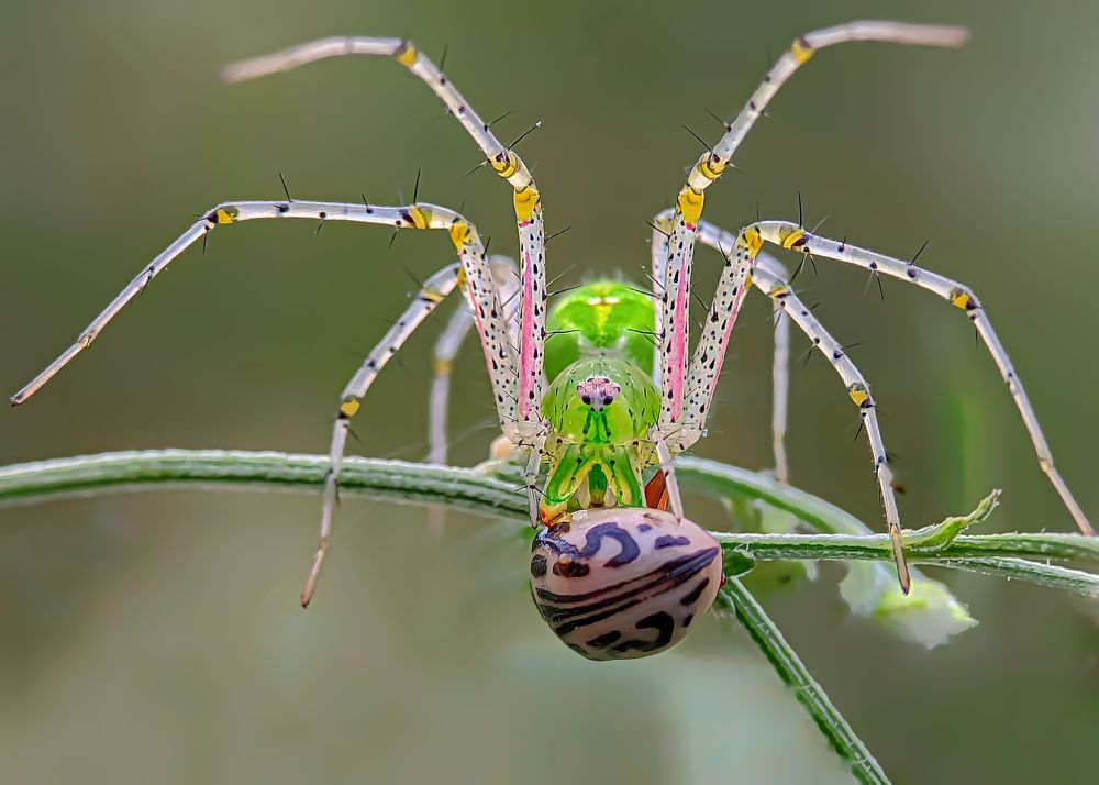 Фотография автора ISLAM SK RIYAJUL