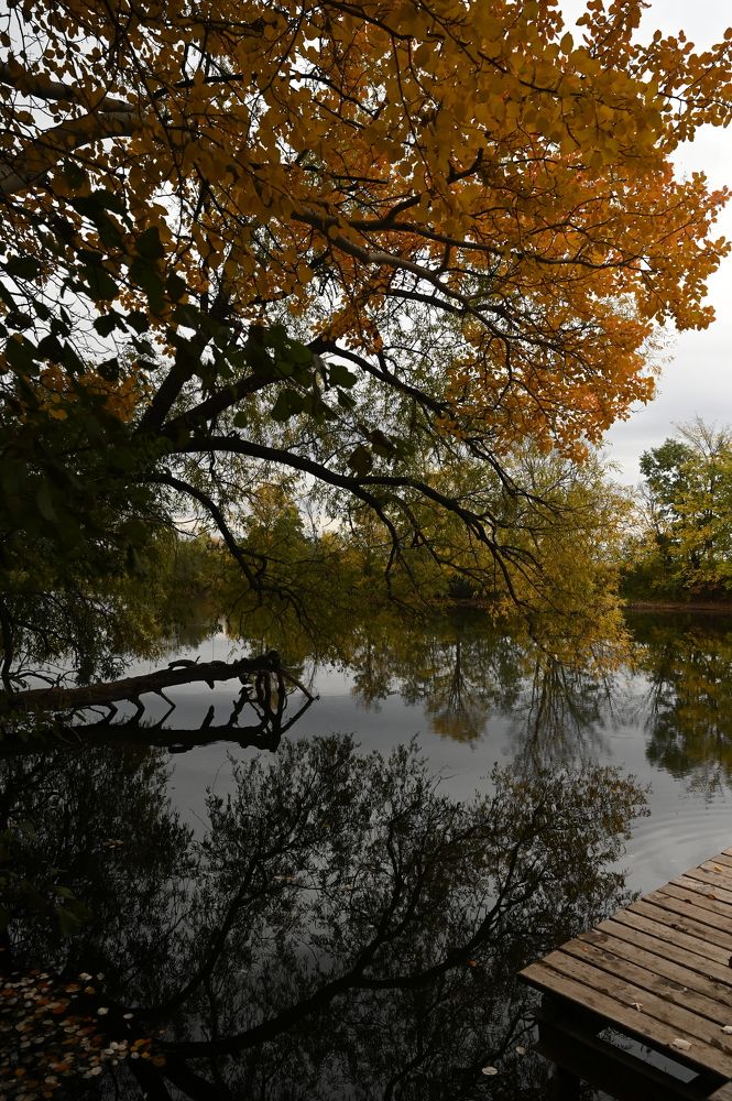 Photograph by Ленария Асянова