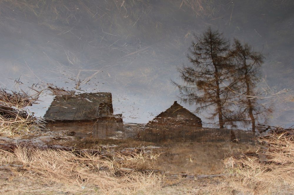 Photograph by Нина