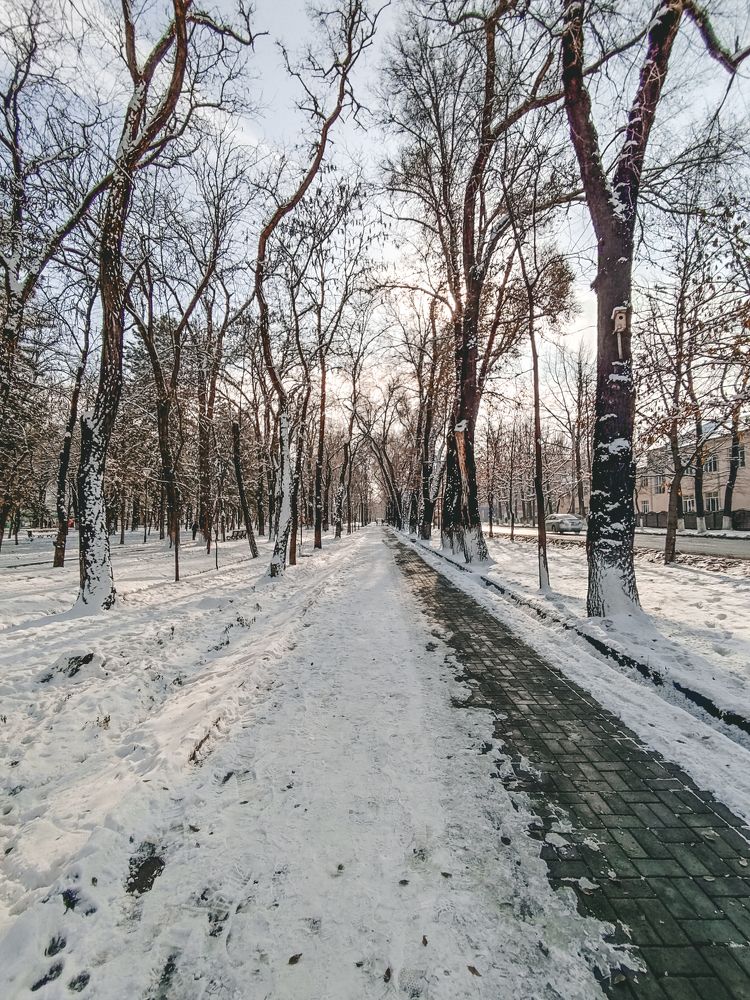 Photograph by Залина